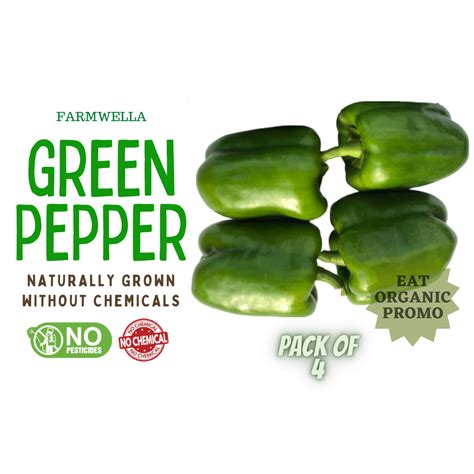 Green Pepper (Pack of 4)