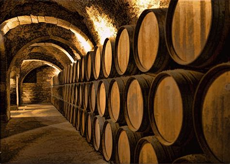 Alley Of Barrels At The Winery Painting by Elaine Plesser