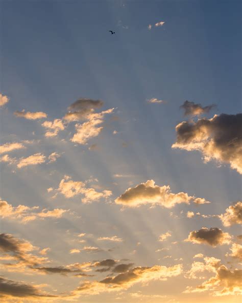 I woke up this morning to see the sunrise. Vancouver, BC. [OC] [3242 × 4052] : r/SkyPorn