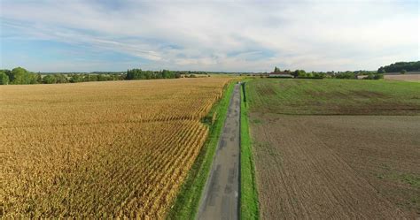 Aerial view of yellow rapeseed field 1299918 Stock Video at Vecteezy