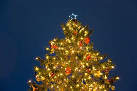 Christmas tree night stock photo. Image of trees, decoration - 16408392