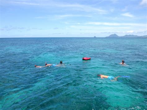 Snorkeling en Martinique