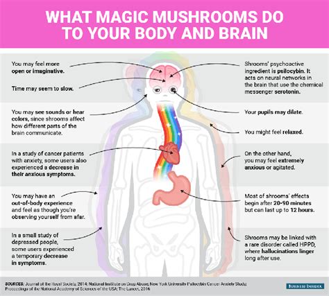 Mental and physical effects of magic mushrooms - Business Insider