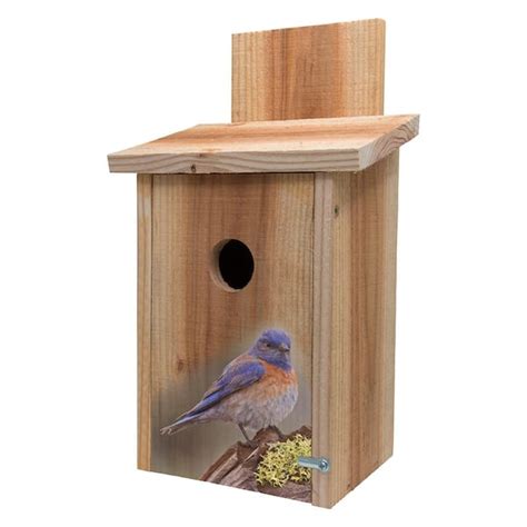 S and K Decorative Blue Bird on Stump Design Cedar Blue Bird House BBHC-7 - The Home Depot