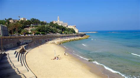 Alma Beach Tel Aviv Dog Beach | Tourist Israel