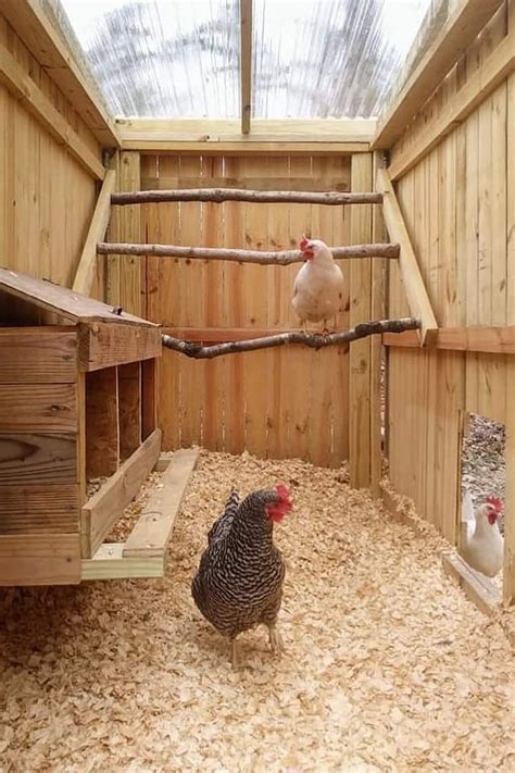 10 Free 8x8 Chicken Coop Plans You Can DIY This Weekend