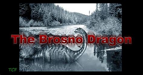 The Crypto Files - The Brosno Dragon | The Crypto Crew