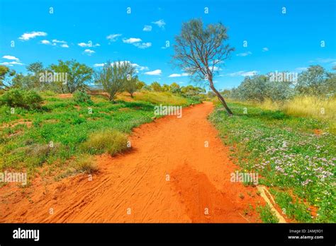 Alice springs desert park australia hi-res stock photography and images ...