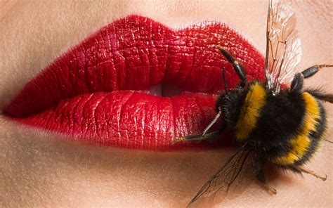 A Deep Dive into Bee Venom Therapy for Skin - Inspire Culture