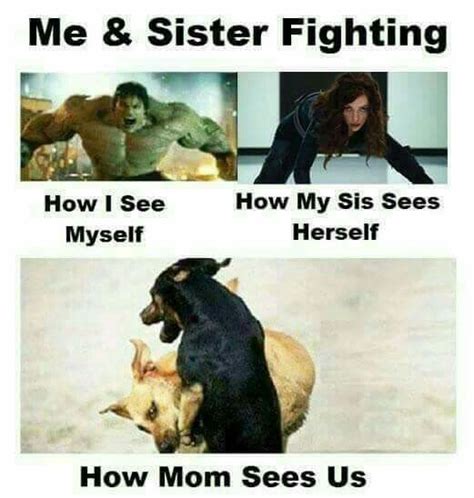 Funny Quotes About Siblings Fighting - ShortQuotes.cc