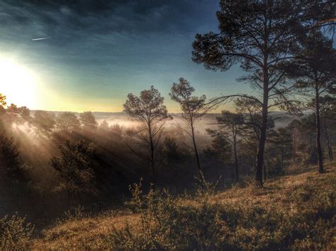 Wallpaper : Run, trail, iphoto, Provence, iPhone, runrunrun ...