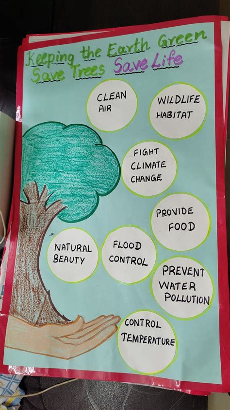 Soft board chart on Importance of trees in 2022 | Importance of trees, Beauticontrol products ...