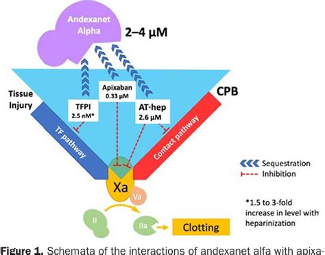 Figure 1 from Heparin Insensitivity and Thrombotic Risk Associated With Sequential Uses of ...