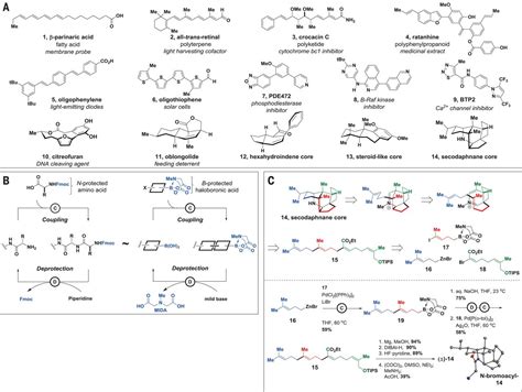 Synthesis of many different types of organic small molecules using one ...