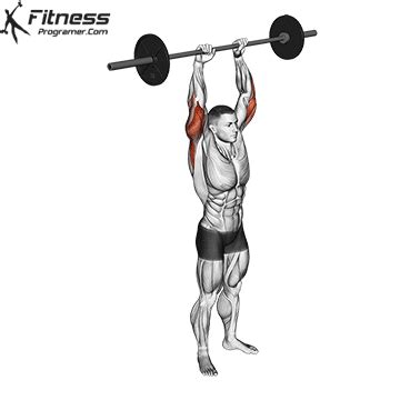 How To: Standing Barbell Triceps Extension