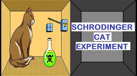 Schrodinger's Cat Experiment In Hindi || Quantum Suicide Experiment || Science of Everything ...