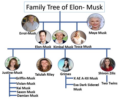 Elon Musk a Glorious Man Journey, Co-Founder of 6 Companies. - PersonTrends