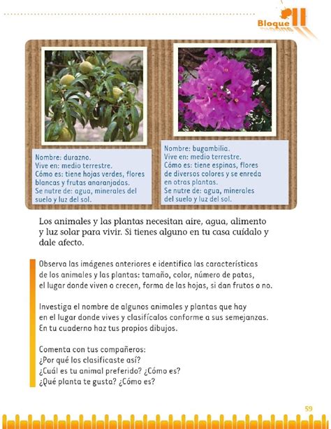 Semejanzas y diferencias entre plantas y animales - Bloque II - Lección ...