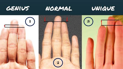 Ring Finger Length Vs Index Finger - Duane Pickrell Kapsels