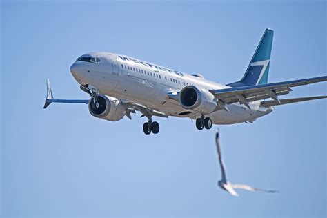 C-FNAX: WestJet Boeing 737 MAX 8 (The Reincarnation Of C-FNAX) | Boeing ...