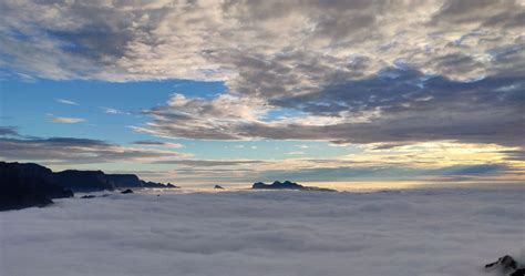 Kolukkumalai Sunrise Trek - Trek through the World’s Highest Tea ...