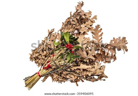 Badnjak Yulelog Mistletoe Fir Branches Wheat Stock Photo (Edit Now) 359406095