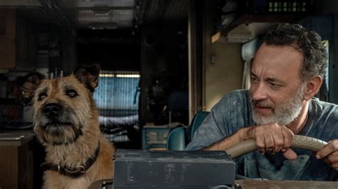 Review: Tom Hanks, a Robot and a Dog in ‘Finch’ – NBC New York