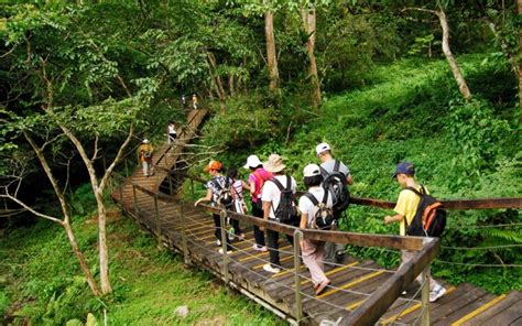 保育及生態旅遊 - 生態旅遊 - 國家森林遊樂區 - 池南國家森林遊樂區