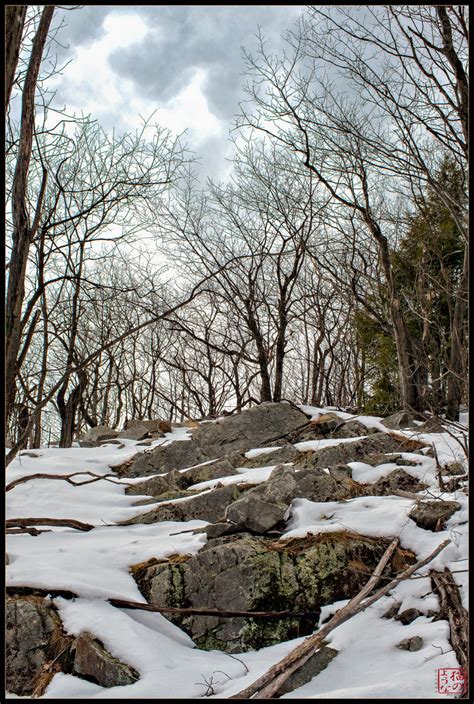 Elevation of Brattleboro, VT, USA - Topographic Map - Altitude Map