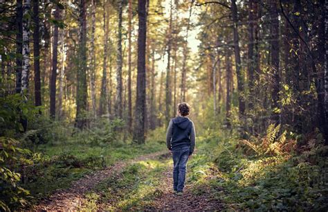 ¿Es Forrest un niño?? - startupassembly.co