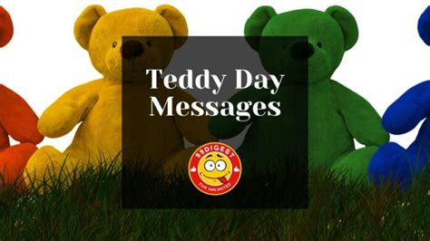 Best Teddy Day Wishes, Quotes and Messages | 99digest