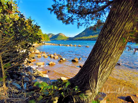 Nature by Nat Photography - Acadia National Park