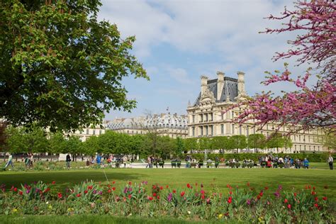 Musee du Louvre as Seen From Tuileries Gardens Paris France ...