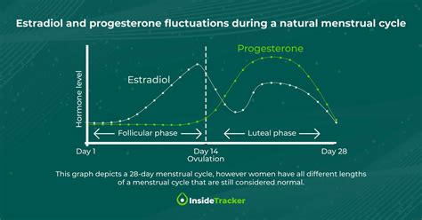 How to Interpret Your Estradiol Blood Test Results