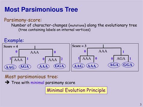 Principle of parsimony - societybinger