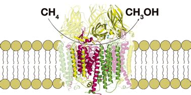 The quest for the particulate methane monooxygenase active site - Dalton Transactions (RSC ...