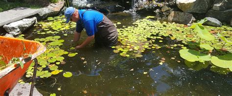 Pond Maintenance - Damascus Enterprises