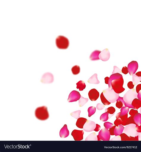 Rose petals falling background for presentations Vector Image