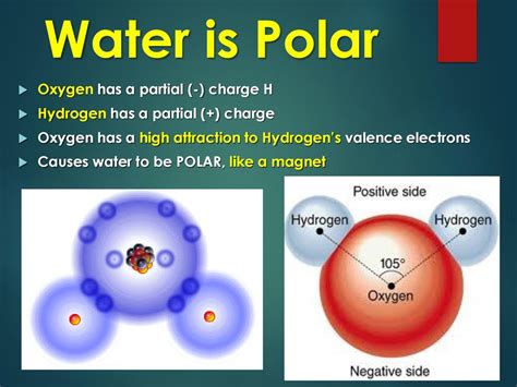 Properties of Water. - ppt download