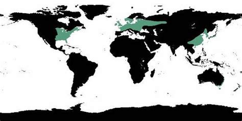 World Map - Temperate Deciduous Forests