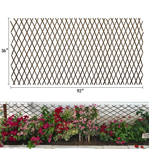 Expandable Garden Trellis Plant Support Willow Lattice Fence Panel for ...