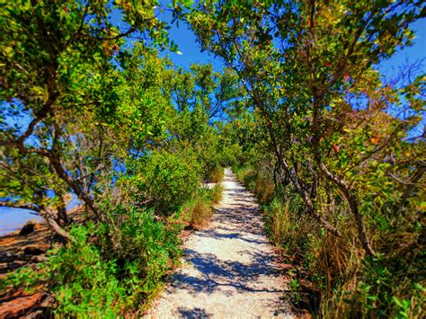 Nature Trail at Biscayne National Park 2 - 2 Travel Dads