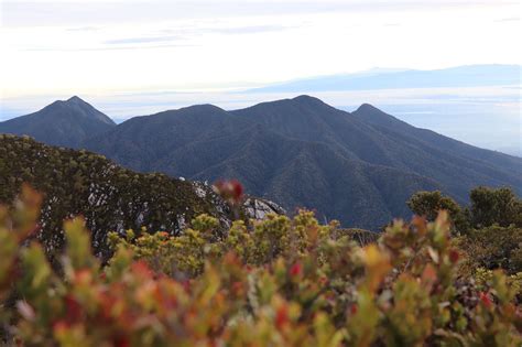 Trekkers Climb Mt. Apo Over The Long Weekend | Campsites & Trails Assessment | Mount Apo Natural ...