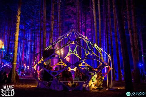 Sights from the Forest: 10 Photos of Electric Forest's Epic Art ...