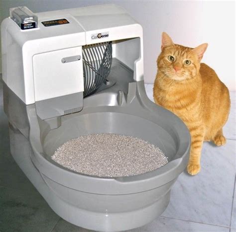 A self-cleaning cat litter box that looks like a toilet bowl. | 37 Things That Belong In Ever ...