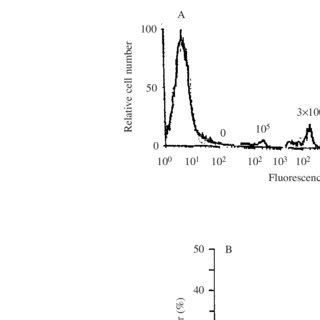 Standard curve for the detection and semi-quantitative analysis of B ...