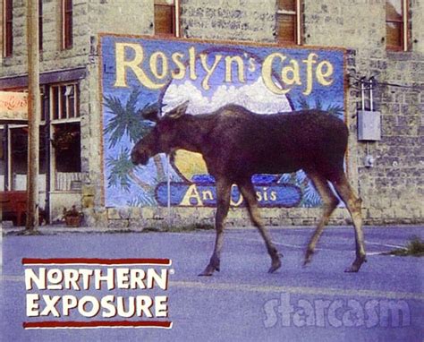 Northern Exposure reboot confirmed with Rob Morrow and original show co ...