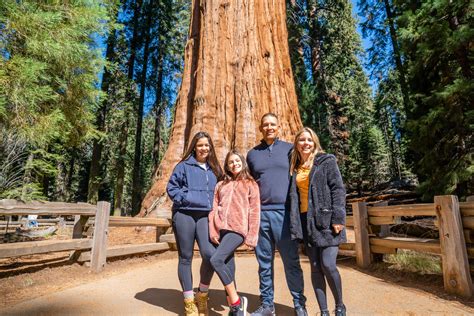 Hit The Best Hiking Trails In Sequoia National Park