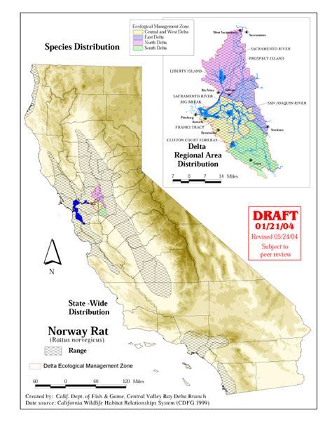 Map of Wild Norway Rats in California