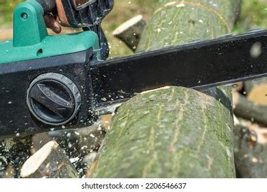 258 Logging Chain In Use Images, Stock Photos & Vectors | Shutterstock